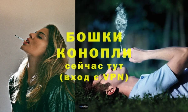 мяу мяу мука Покачи