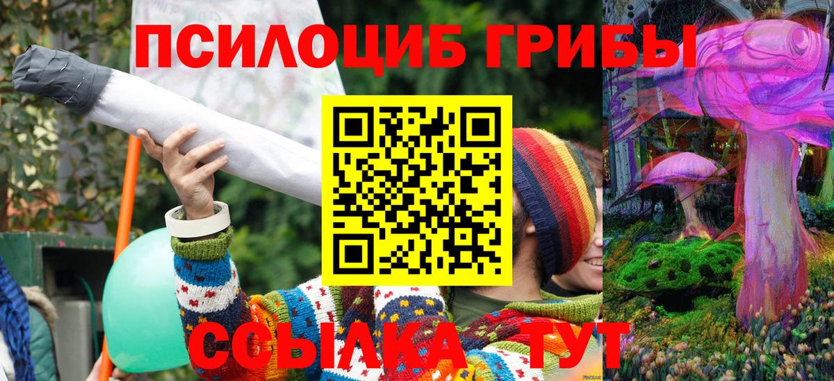 Псилоцибиновые грибы мицелий Кувандык