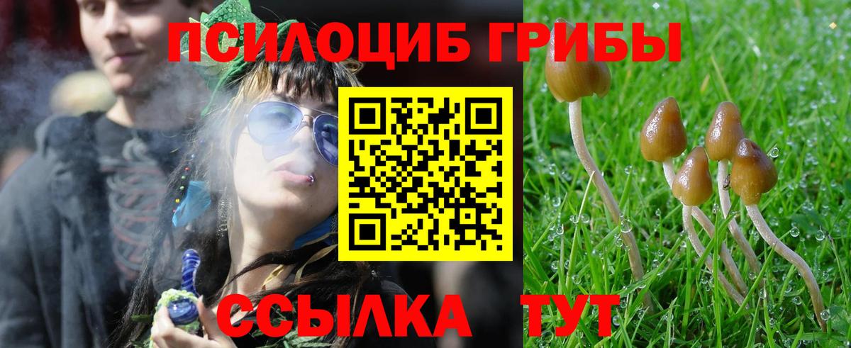 дарнет шоп  Галлюциногенные грибы прущие грибы  Кувандык  Вход с VPN  Галлюциногенные грибы MAGIC MUSHROOMS 